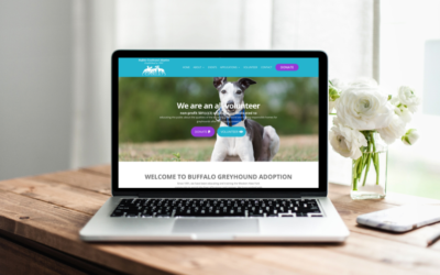 Buffalo Greyhound Adoption Website Launch